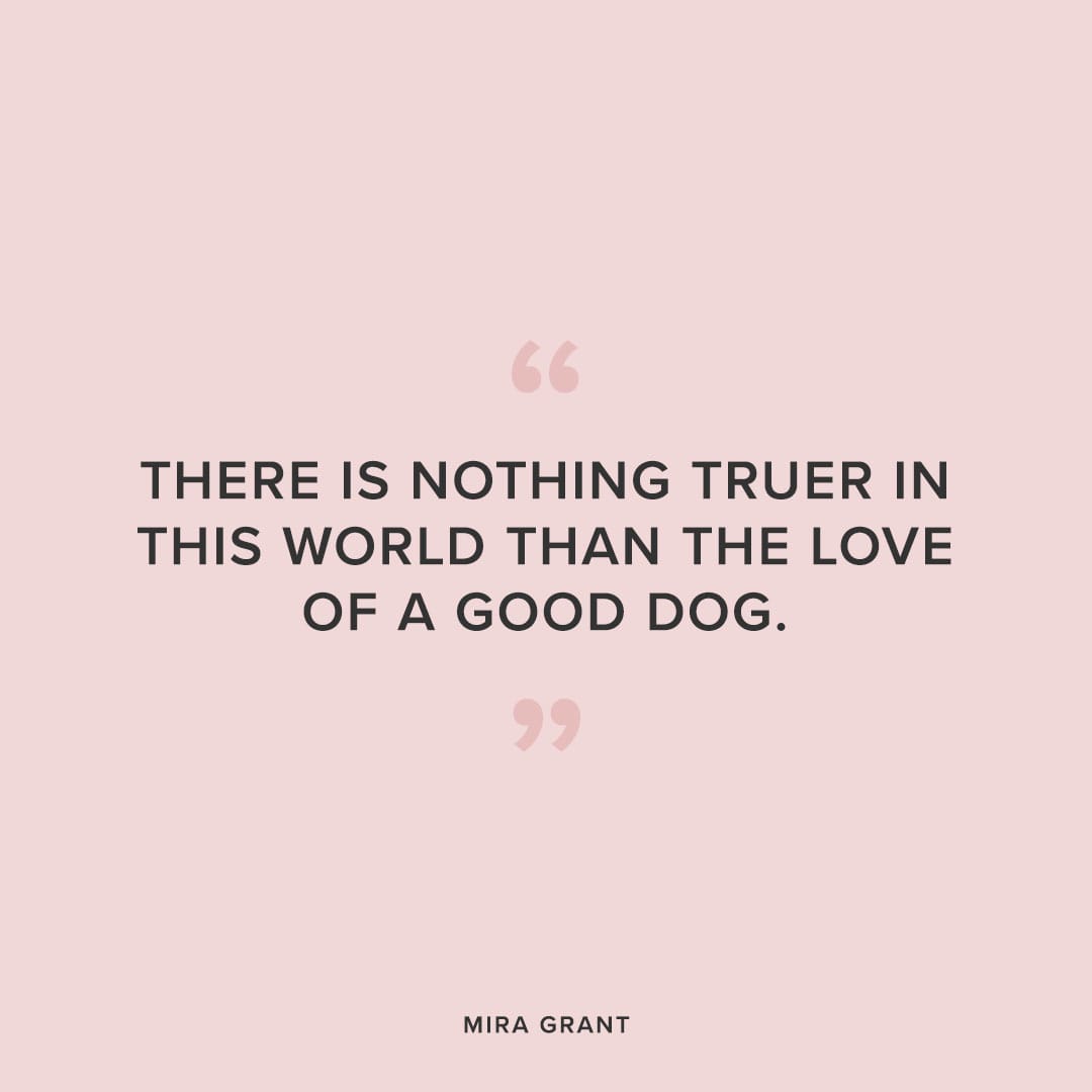 good dog quote