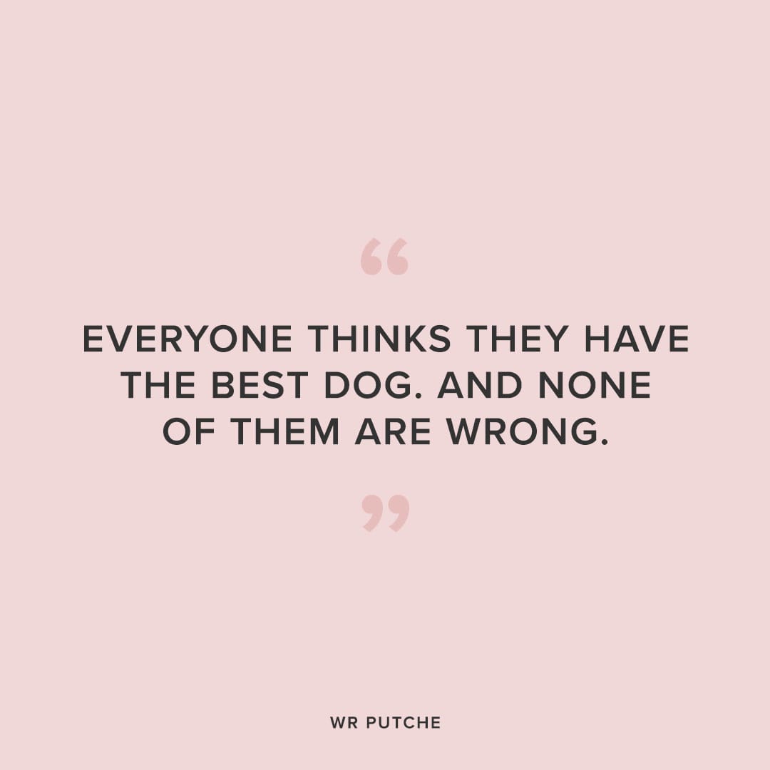 best dog dog quote