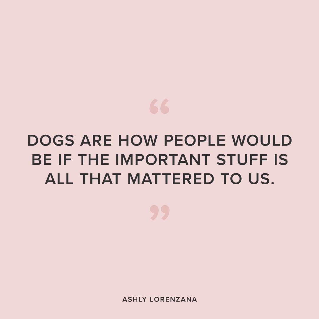 cute dog quote