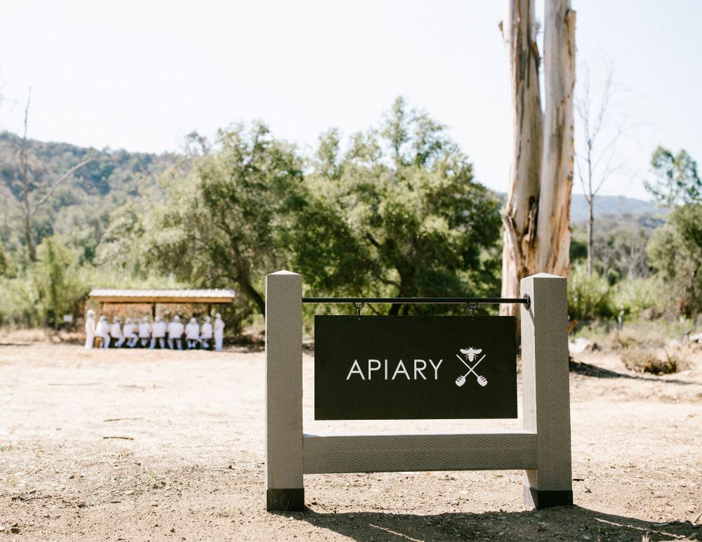 beekeeping experience at ojai resort apiary