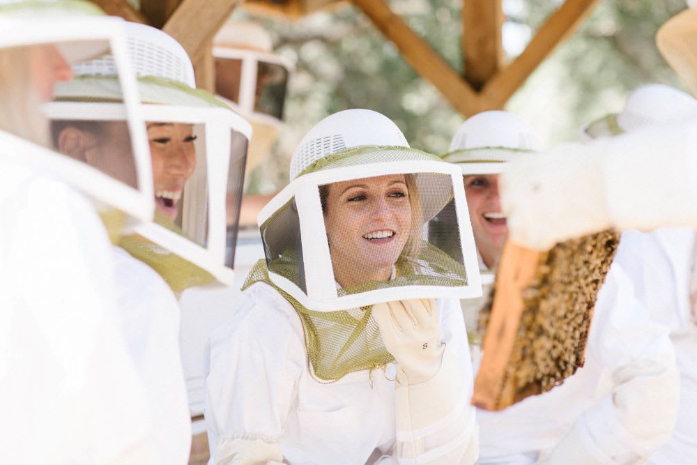 beekeeping experience at ojai resort
