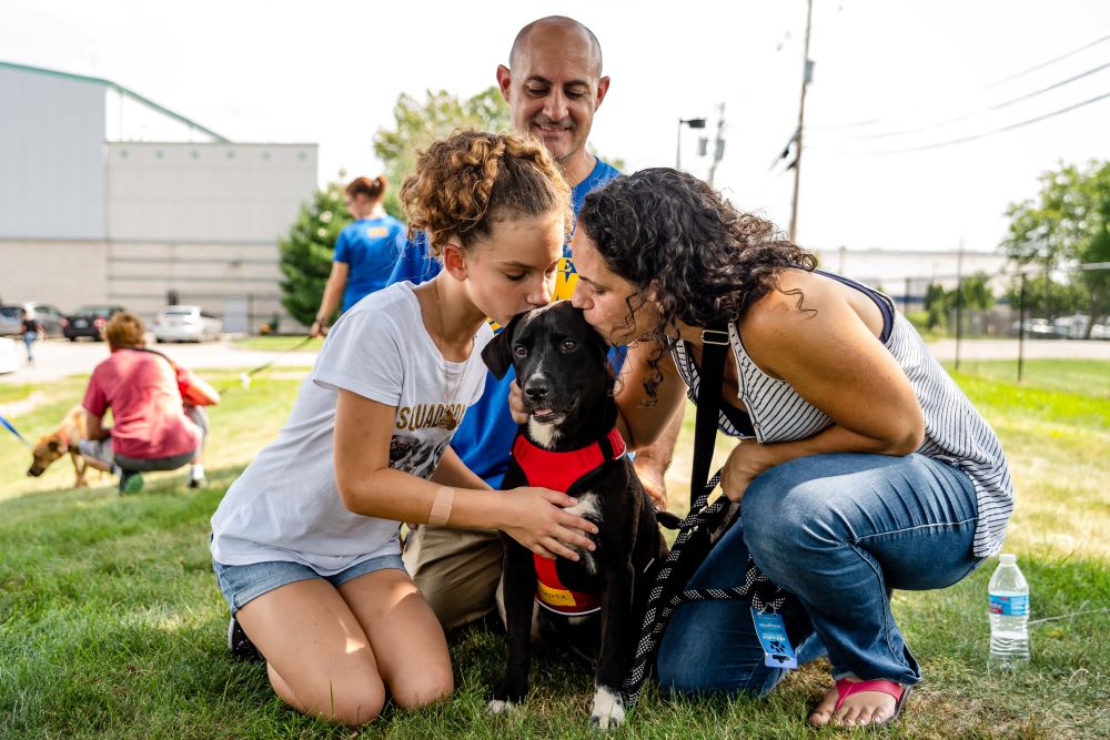 sato dog with adopted family