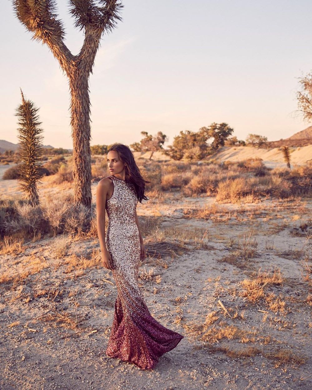 sequin ombre pink gown