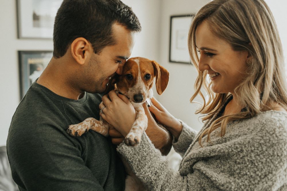 adopting a puppy: tips