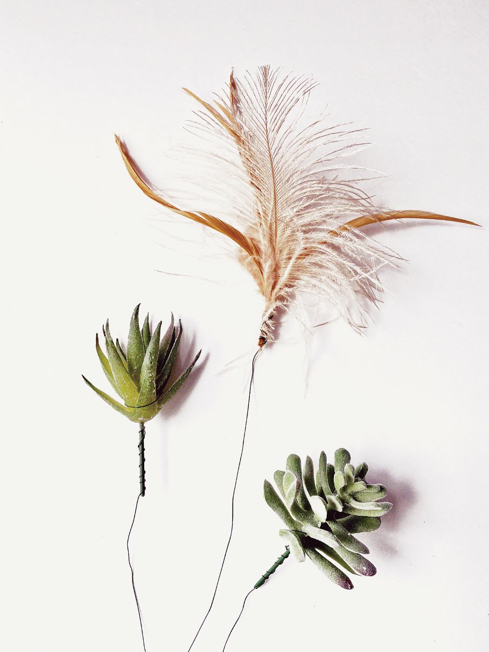 succulents and feather for wedding flowers