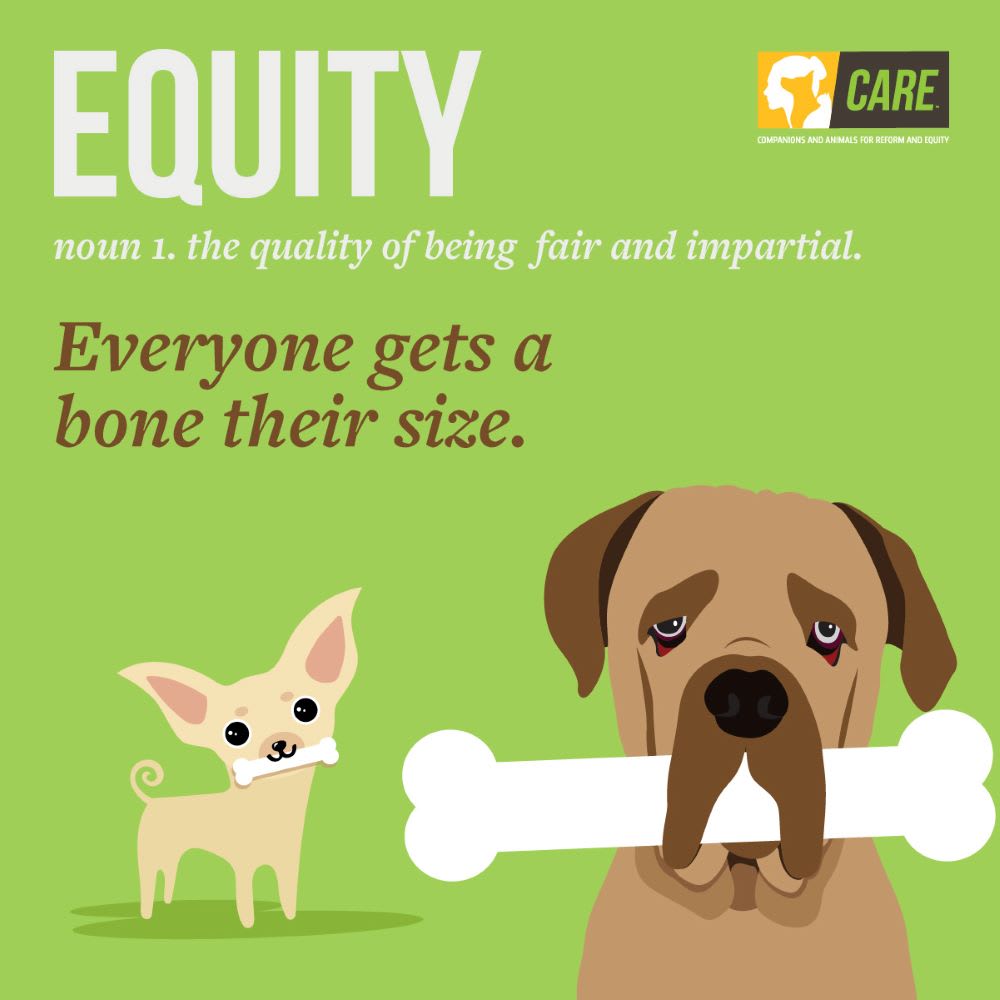 a graphic with two different size dogs with different sized bones to explain equity vs. equality in pet adoption