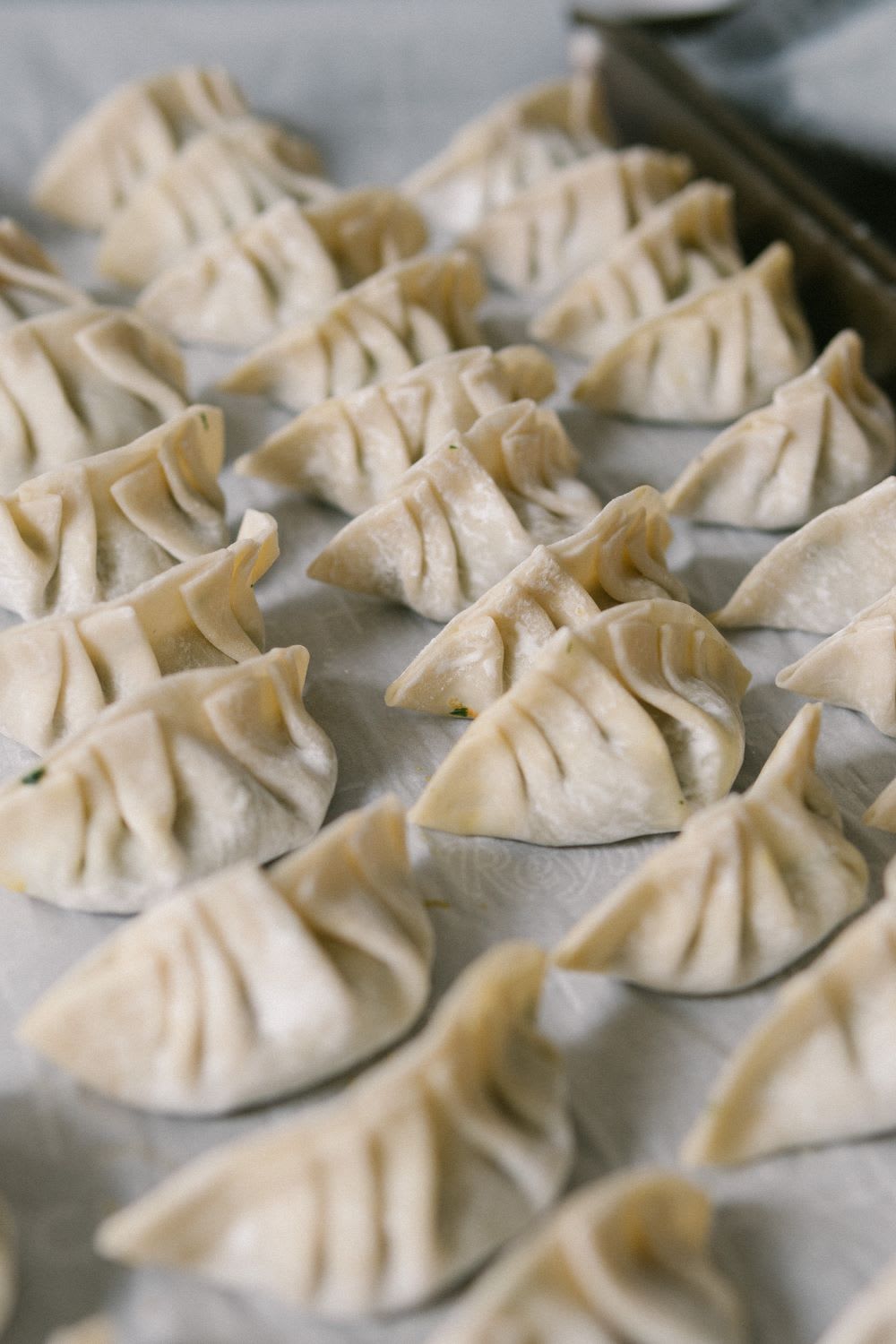chinese dumplings