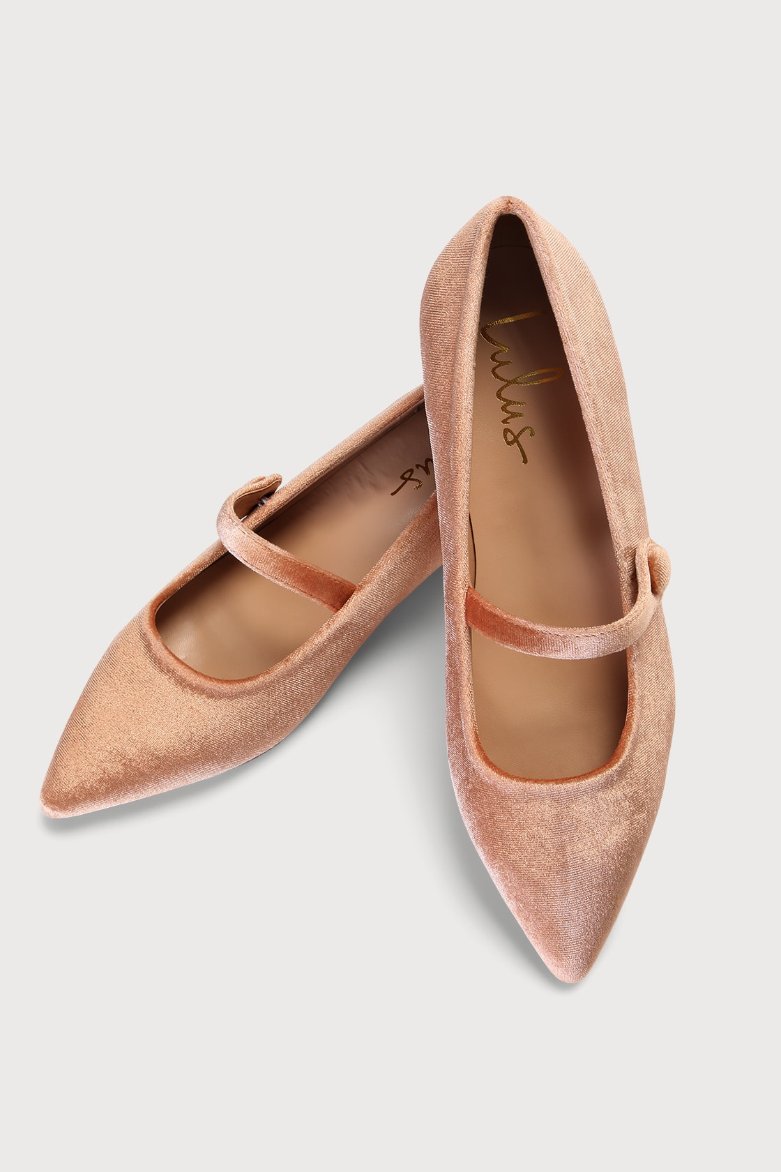 champagne velvet buckle pointed toe ballet flats