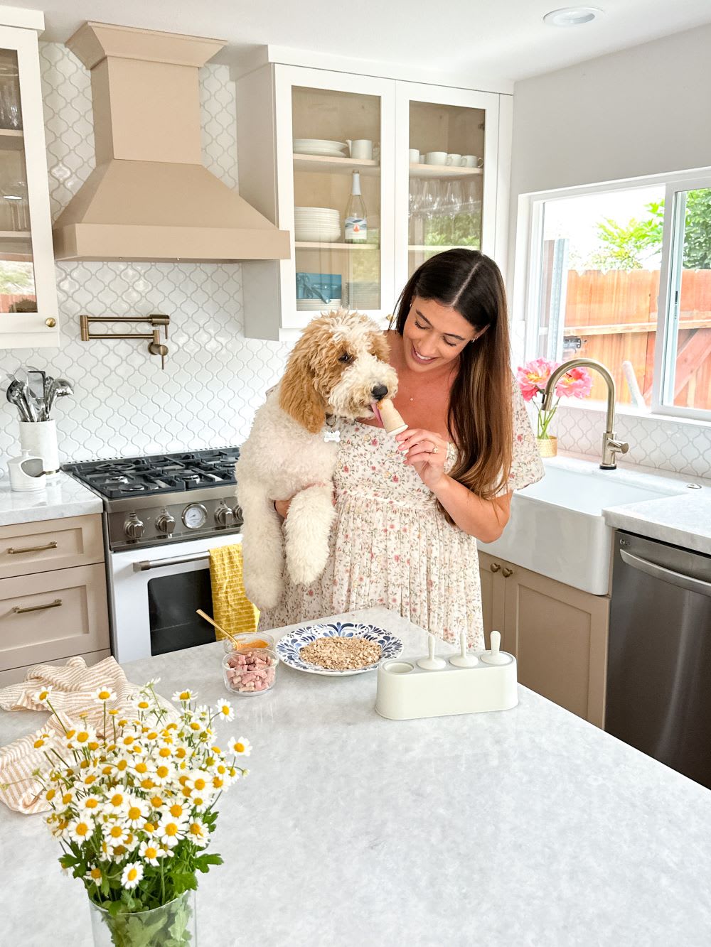 popsicles for dogs