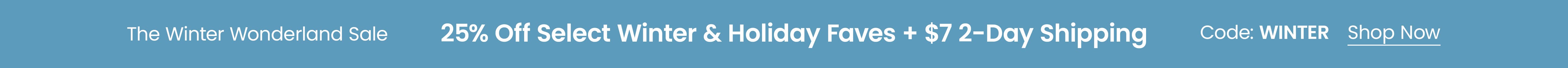 Jaela Burgundy Floral Mesh Sleeveless Bodycon Midi Dress