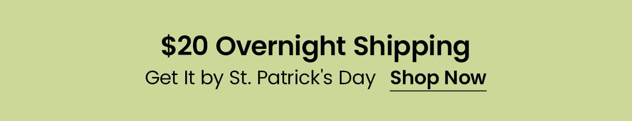 Soiree Blossom Black Floral Embroidered Mermaid Maxi Dress