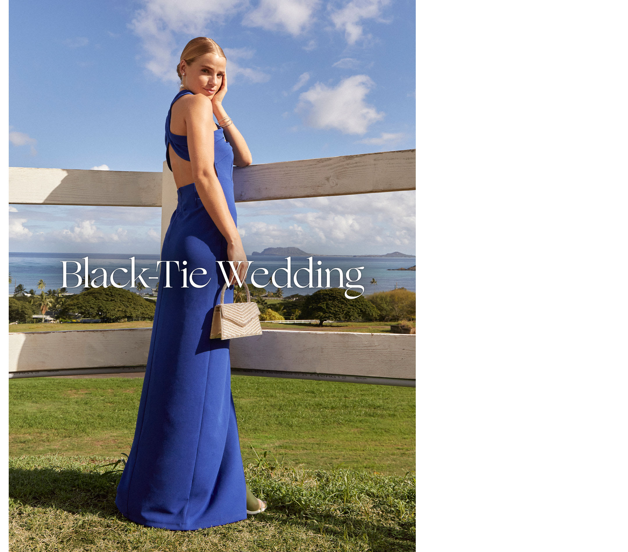 Shop Black-Tie Wedding Guest