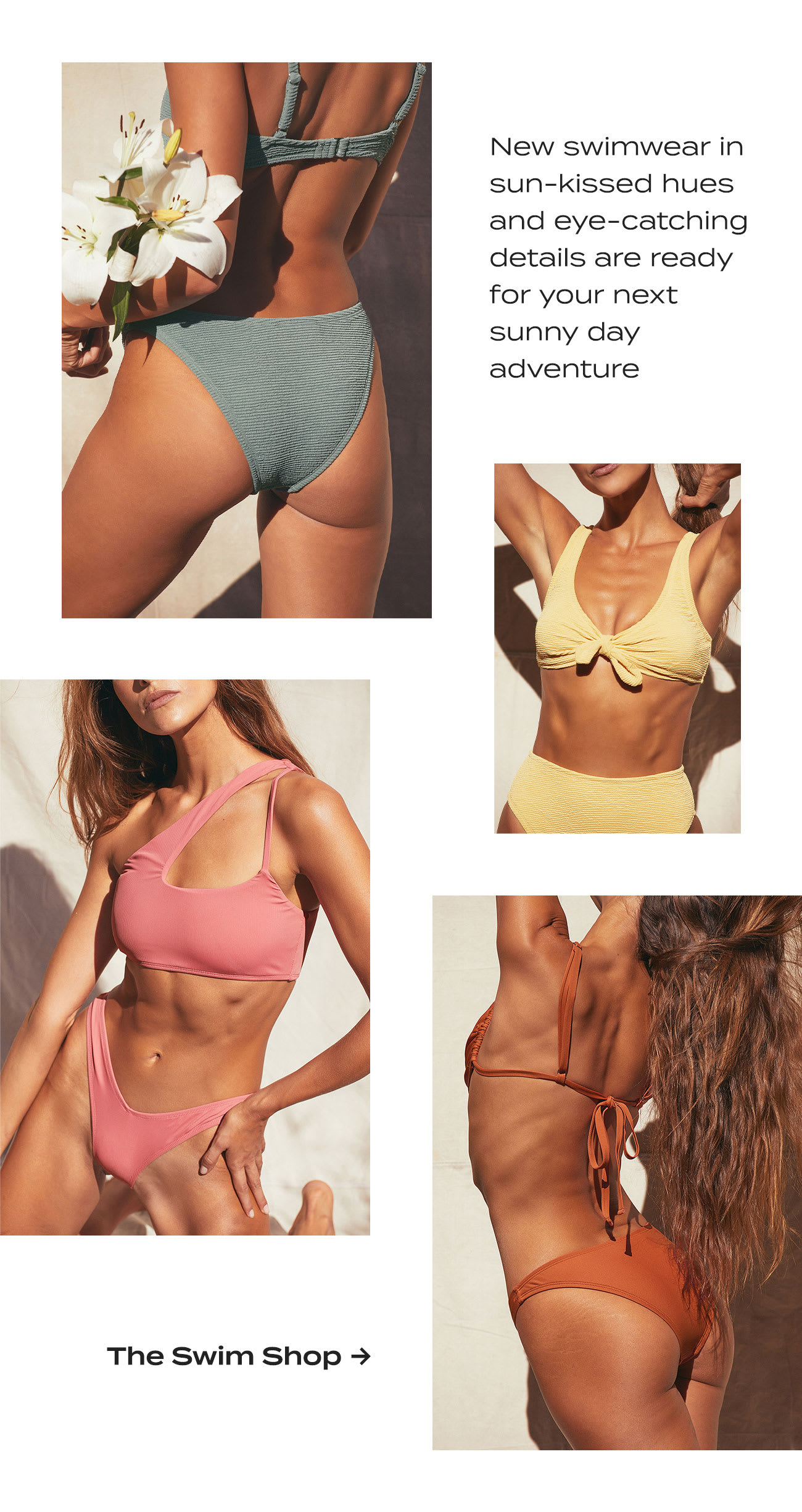 the swim shop