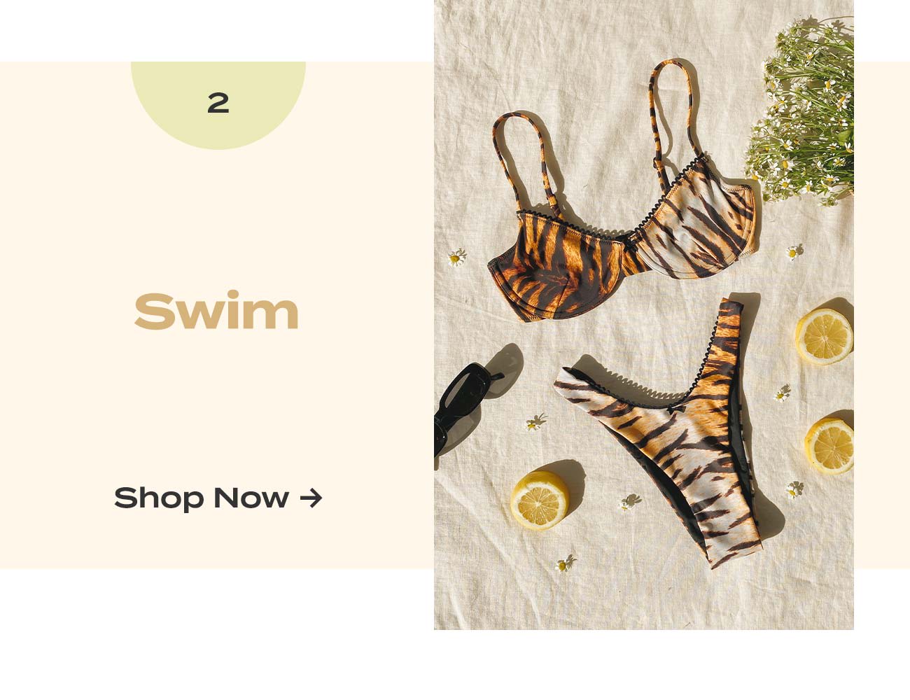 swim GIF 
