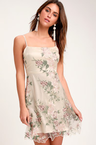 Aubrie Champagne Floral Embroidered Skater Dress