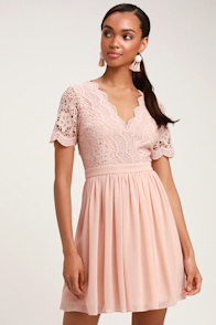 Angel in Disguise Blush Lace Skater Dress