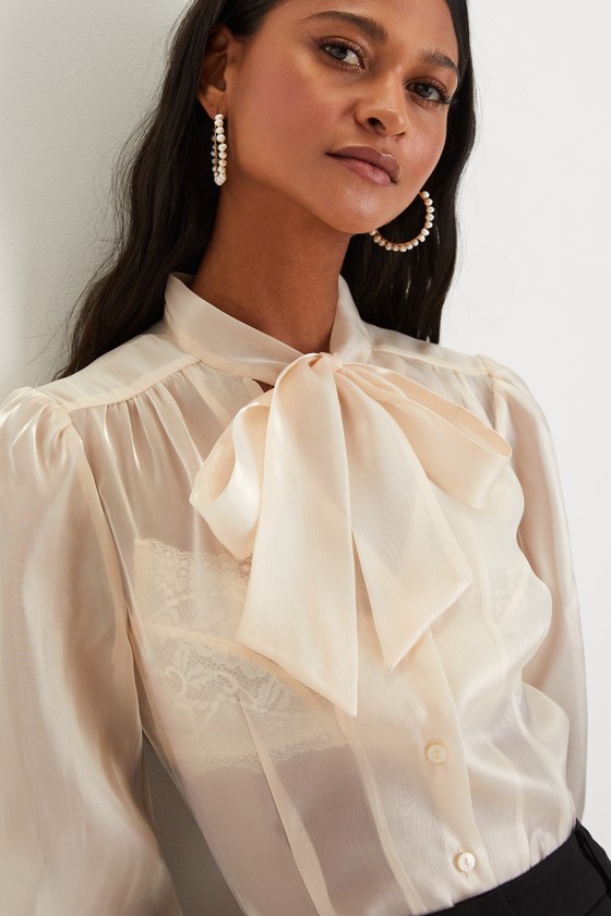 organza tie neck blouse