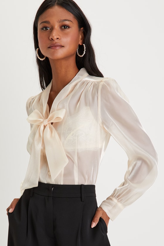 Ivory Organza Top - Tie-Neck Top - Long Sleeve Top - Sheer Blouse - Lulus