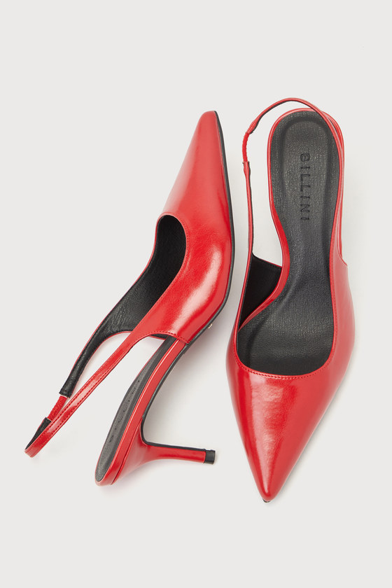 Diane Crimson Pointed-Toe Slingback Pumps 1