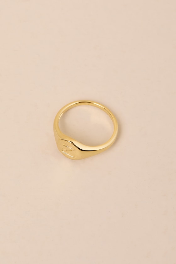 Luv AJ Oval Signet Ring - 14kt Gold Initial Ring - Z Initial