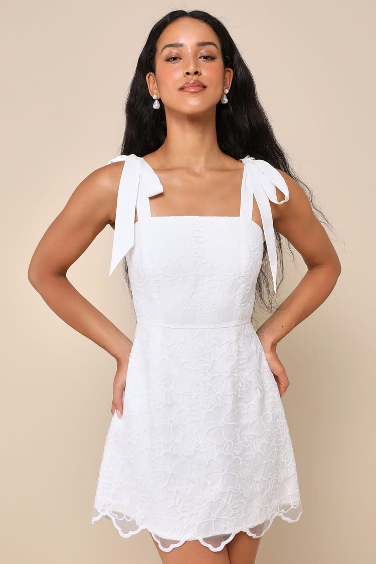 Lovable Aesthetic White Embroidered Tie-Strap Mini Dress