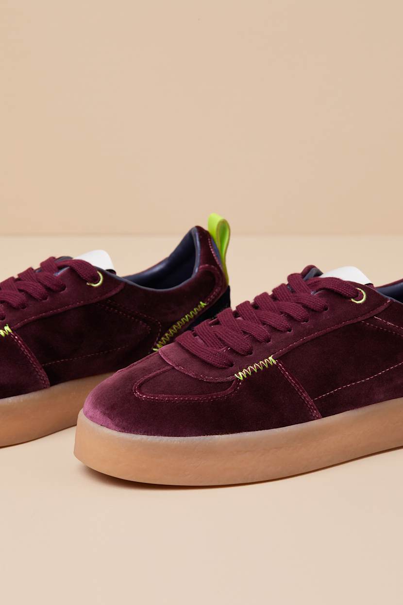 Steve Madden Tucker - Burgundy Multi Sneakers - Velvet  display picture 1