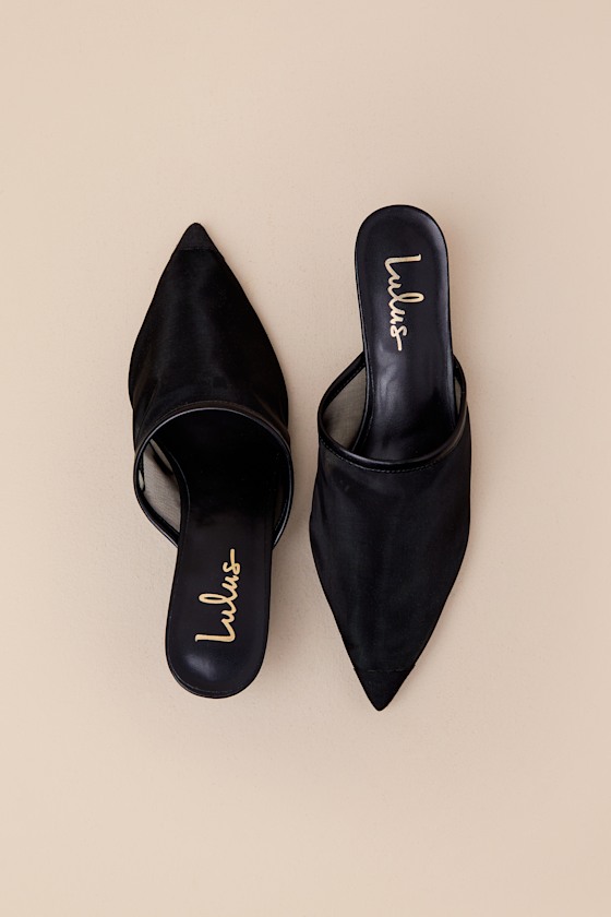 Lulus Annistan Black Mesh Pointed-toe Mule Pumps In Black