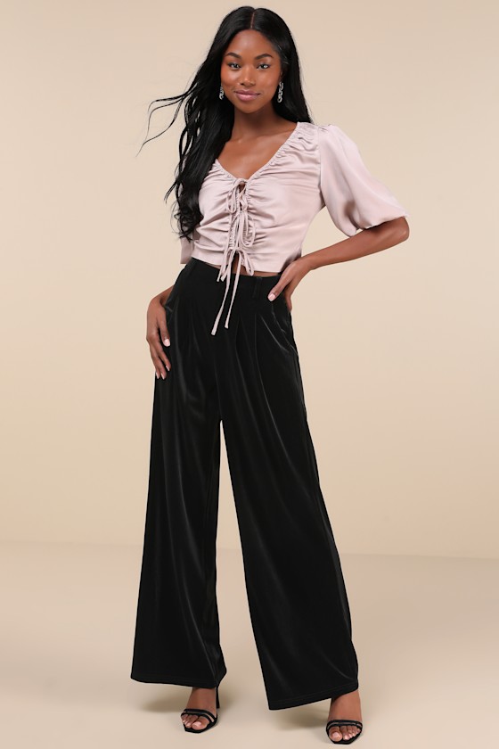 Chic Splendor Black Velvet Pleated High Rise Wide-Leg Pants 1