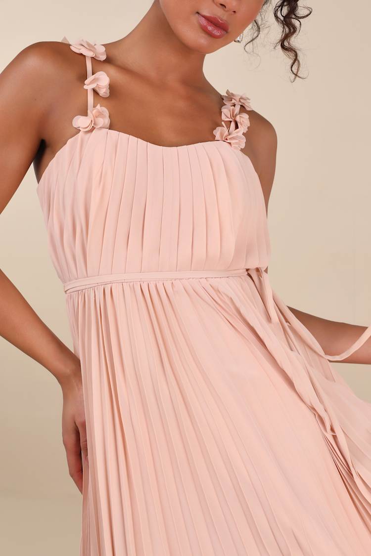 Hera Blush Pleated Floral Applique Maxi Dress