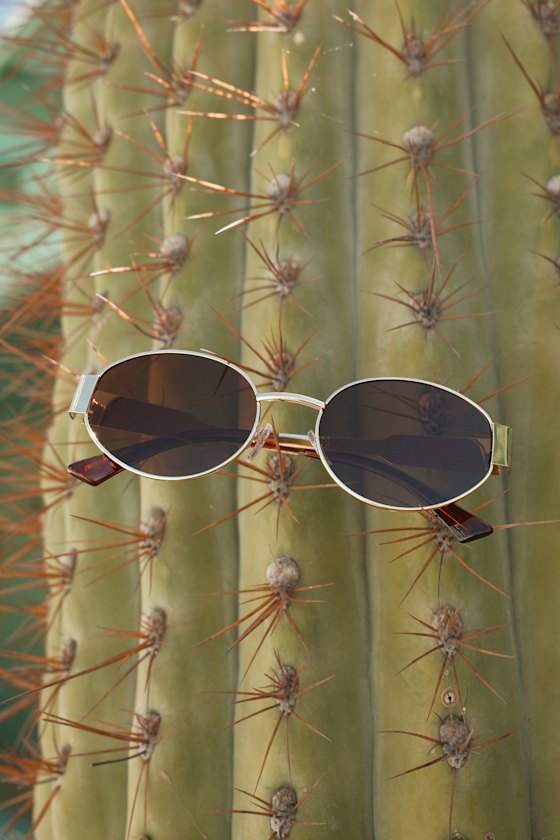 Trendsetting Take Gold and Brown Oval Sunglasses 1