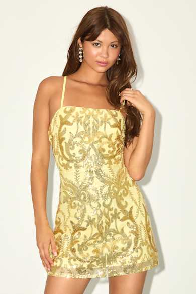 open lace back dress Elegant Sleeveless High-Low Tulle Evening Dress with Embroidered Appliques  and V-Neck