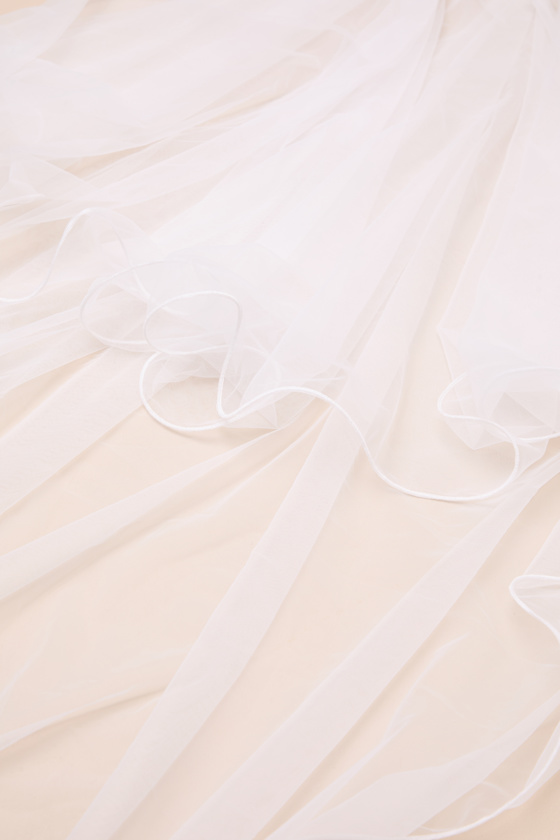 Eleonora Ivory Tulle Layered Long Veil 1
