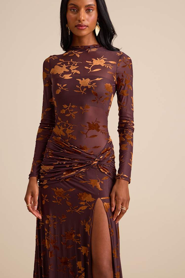 Charlize Brown Sheer Mesh Velvet Burnout Maxi Dress