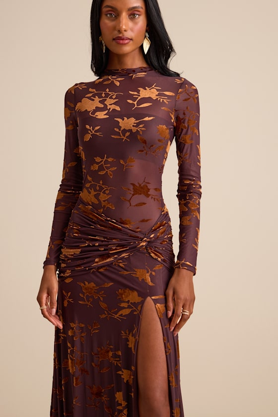 Charlize Brown Sheer Mesh Velvet Burnout Maxi Dress 2