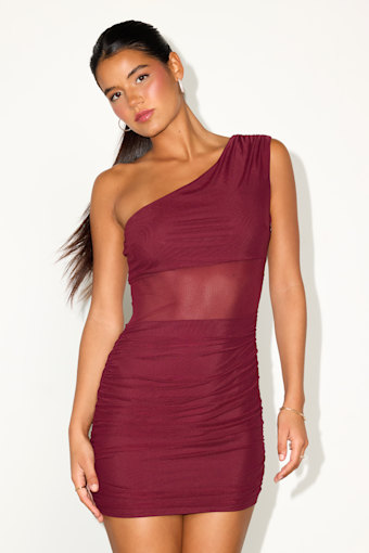 Neela Burgundy Mesh One-Shoulder Mini Dress 1