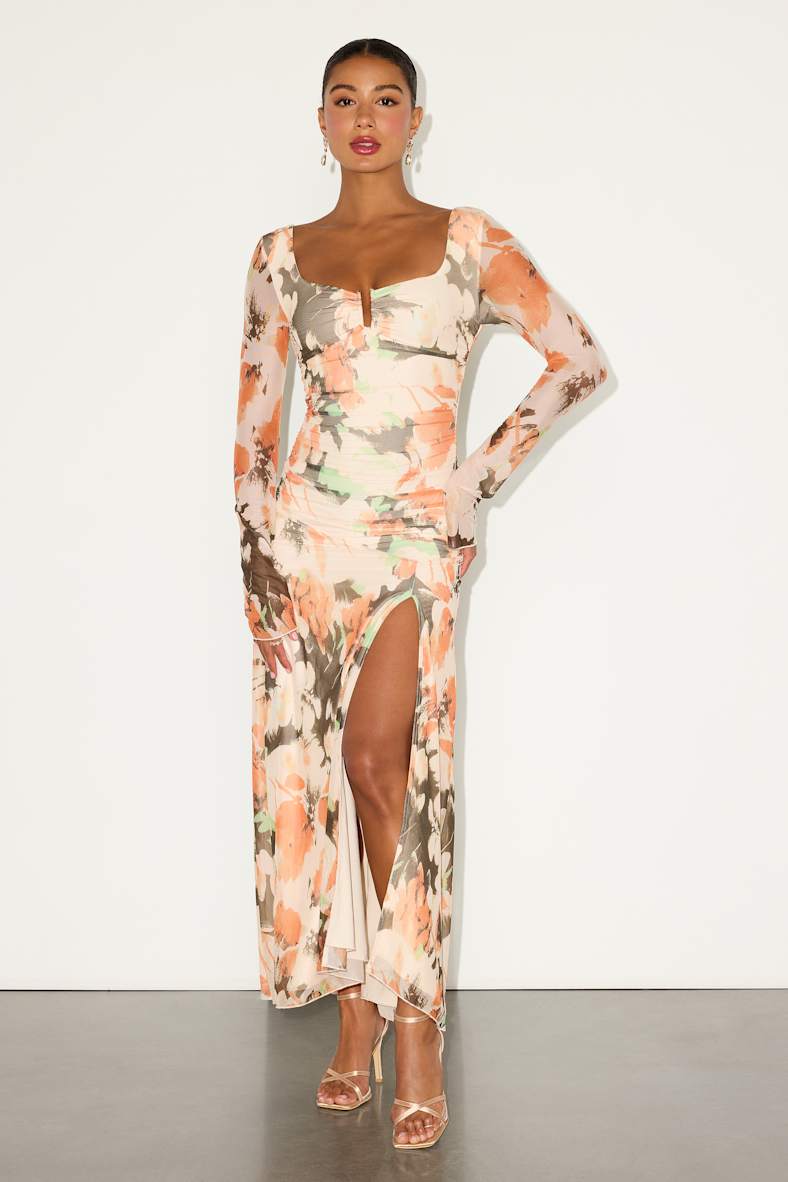 Catlin Cream Multi Floral Mesh Long Sleeve Maxi Dress