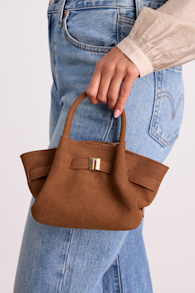 Raelyn Brown Suede Crossbody Mini Handbag 1