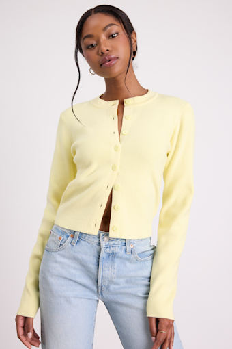 WT4046L: LEMON 1