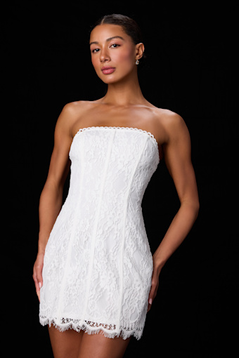 VD11309: WHITE 1