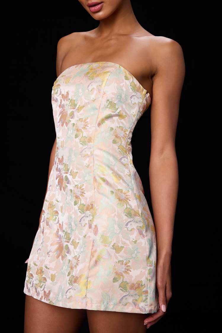 floral jacquard lace corset mini dress Blush Multi - Jacquard - Lace-Up Mini short corset sundress Jela Solid Wood 5 Color:Plumeria Ombre evening galas White Oak