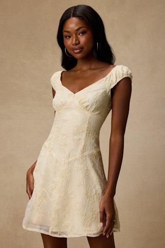 Aura Pale Yellow Embroidered Mini Dress 1