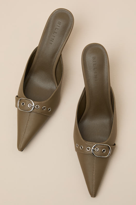 H3213: OLIVE 2