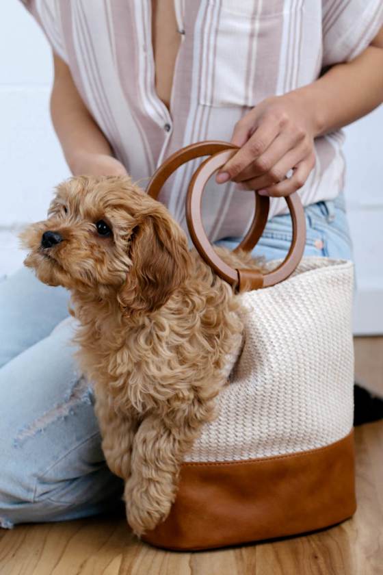 Costa Beige and Brown Woven Tote 5