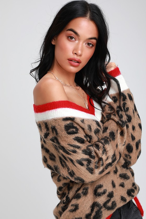 Style Instinct Leopard Print Color Block V-Neck Sweater