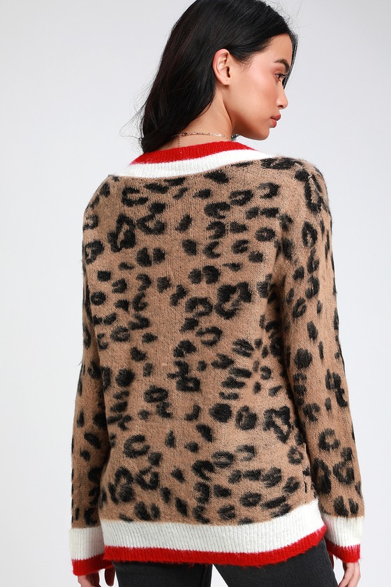 Chic Leopard Print Varsity Sweater - Leopard V-Neck Sweater