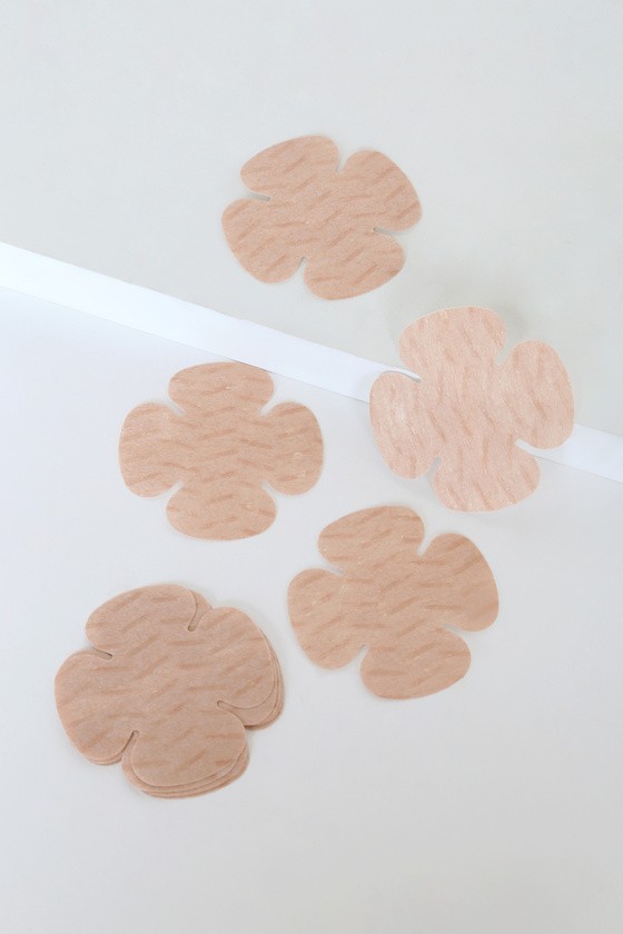Hollywood No-Show Petal Concealers 3