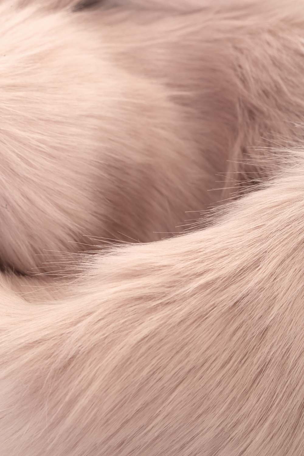 Demure and Dreamy Blush Pink Faux Fur Stole