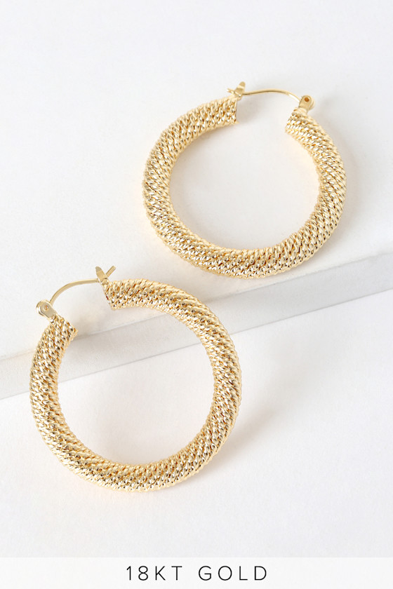 Armadillo 18k Gold Hoop Earrings 2