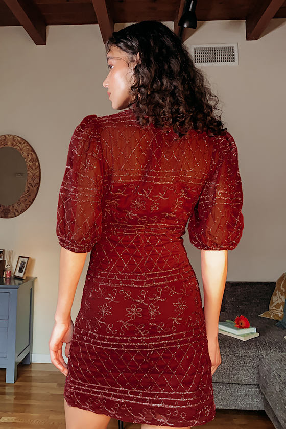 Joyful Occasion Burgundy Embroidered Puff Sleeve Shift Dress 6