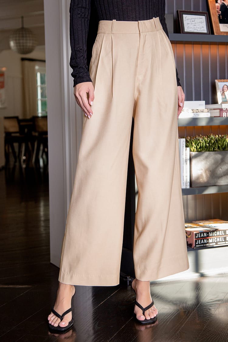 Business Woman Beige Wide-Leg Trouser Pants